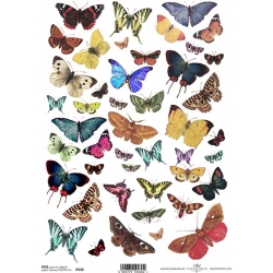 Papier ryżowy A4 R0230   motyle